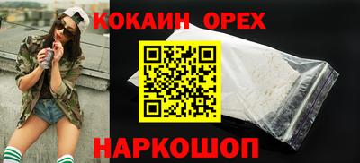 спиды Кингисепп