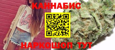 спиды Кингисепп