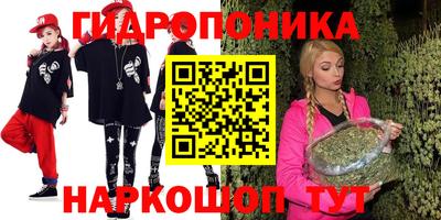 спиды Кингисепп