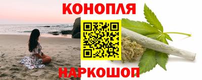 спиды Кингисепп