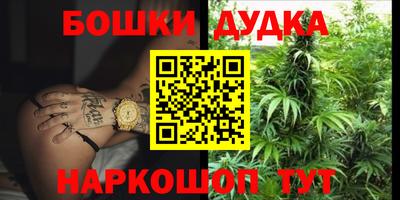 шишки Кинель