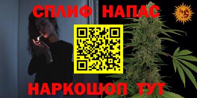 шишки Кинель