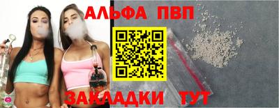 спиды Кингисепп
