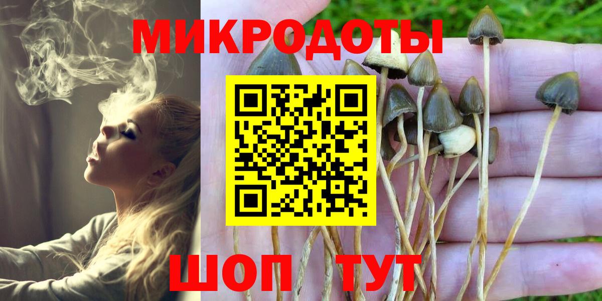 Псилоцибиновые грибы Psilocybe  Псилоцибиновые грибы прущие грибы  Вход с VPN  купить  цена  Нижнеудинск 